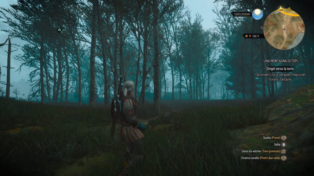 the witcher 3 isola di notte