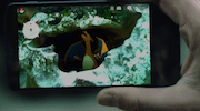 Scova e cattura i Pokémon con Google Maps!